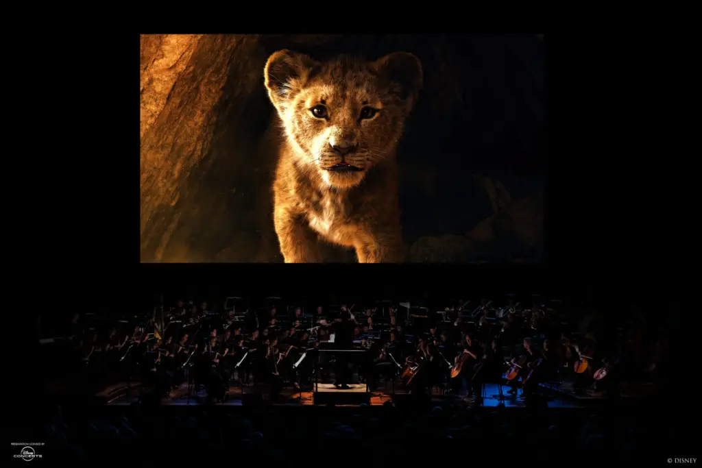 The Lion King RTM Stage